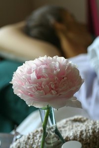 Hospice and palliative care ease suffering for patients with terminal illnesses