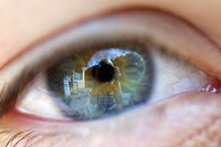 The Human Eye