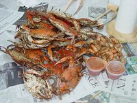 It is hard to differentiate between snow crabs and king crabs