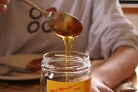 Honey