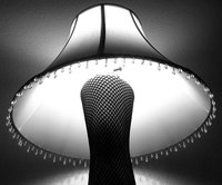 Lampshades and lamp bases must have the same kind of fitter to work properly together.