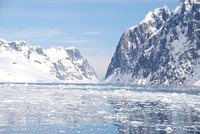 Icebergs in the North Atlantic