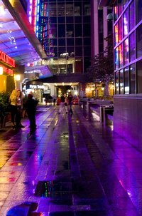 Purple neon signs can really draw attention.