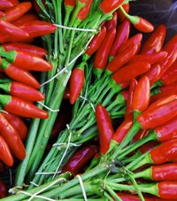 Chili Peppers