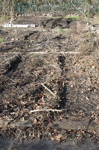 Exposed soil