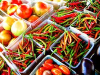 Most foods contain vitamins.
