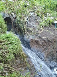 Septic overflow