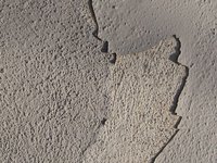 OHSA regulates lead exposure for construction workers.