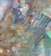 The many colors of mold spores.