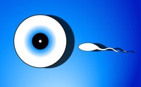 Recanalization can mean sperm is able to reach the female's eggs during intercourse.