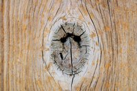Wood filler can help repair holes in wood pieces like this one.