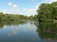 South Carolina’s lakes attract fishermen from around the globe.