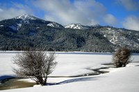 Cold weather can trigger allergies.