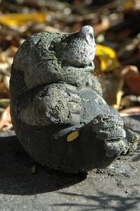 Moles and gophers can destroy your lawn if left untreated.