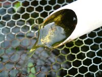 Sealing PVC