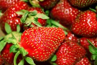 Strawberry extract is strawberry flavoring in a bottle