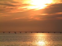 Golden skies reflect on the water.