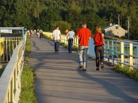Walk to lose weight.