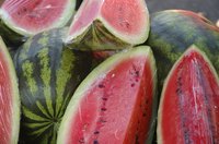 The first watermelon harvest on record was 5,000 years ago in Egypt.