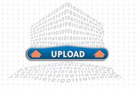 ERP and CRM programs both rely heavily on software applications.
