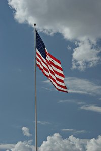 Pay proper respect to the U.S. flag on Veterans Day.