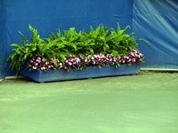 Planter boxes can provide indoor growing options.