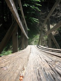 Wooden bridges are one of the earliest functional human structures.