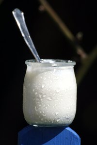 Yogurt contains nearly 50 percent of the daily calcium need.