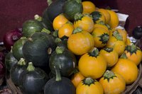 True to its name, Honey Bear squash has a sweet flavor.