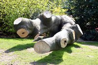A downed tree can be expensive to remove from your property.