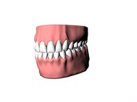 Acrylic teeth are often used in real dental applications.