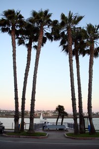 The U.S. film industry is centered in California.