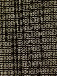 Databases make analysis and interpretation of customer data much more practical and useful.