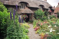 Perennials are a wise and colorful addition to the garden.