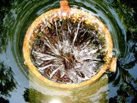 There are eco-friendly solutions to unclogging your drains.
