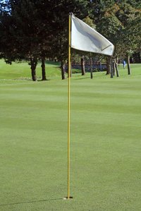 Make your own golf tee flags to resemble the real ones.