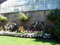 A greenhouse is a classic example of passive solar heating system.