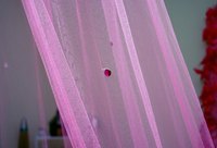 Sheer curtains offer privacy without blocking light.