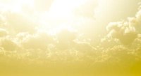 Plants need certain amounts of sunlight to stay healthy.