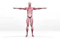 Dealing with elevated creatinine