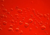 Red blood cells increase due to decreased lung function.