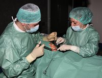 Georgia's dental hygienists reported below-average salaries in recent surveys.
