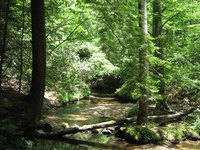 Lake Wedowee provides a beautiful background to any summer vacation.