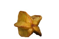 A star fruit