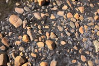 Chemical reactions in the soil involve the oxidation and reduction of existing materials.