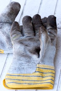 If you're willing to get your garden gloves dirty, you can propagate your own woolly thyme.