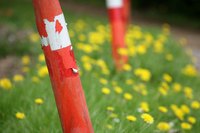 Paint needs to be applied to aluminum poles with care if it is to last.