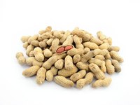 Peanuts grow two or three in a shell.