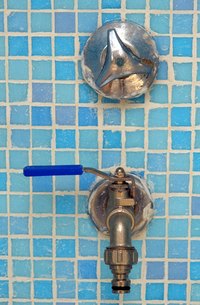 Mold grows in damp areas.