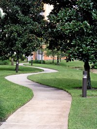 Add personality to your yard with a curved brick walkway.